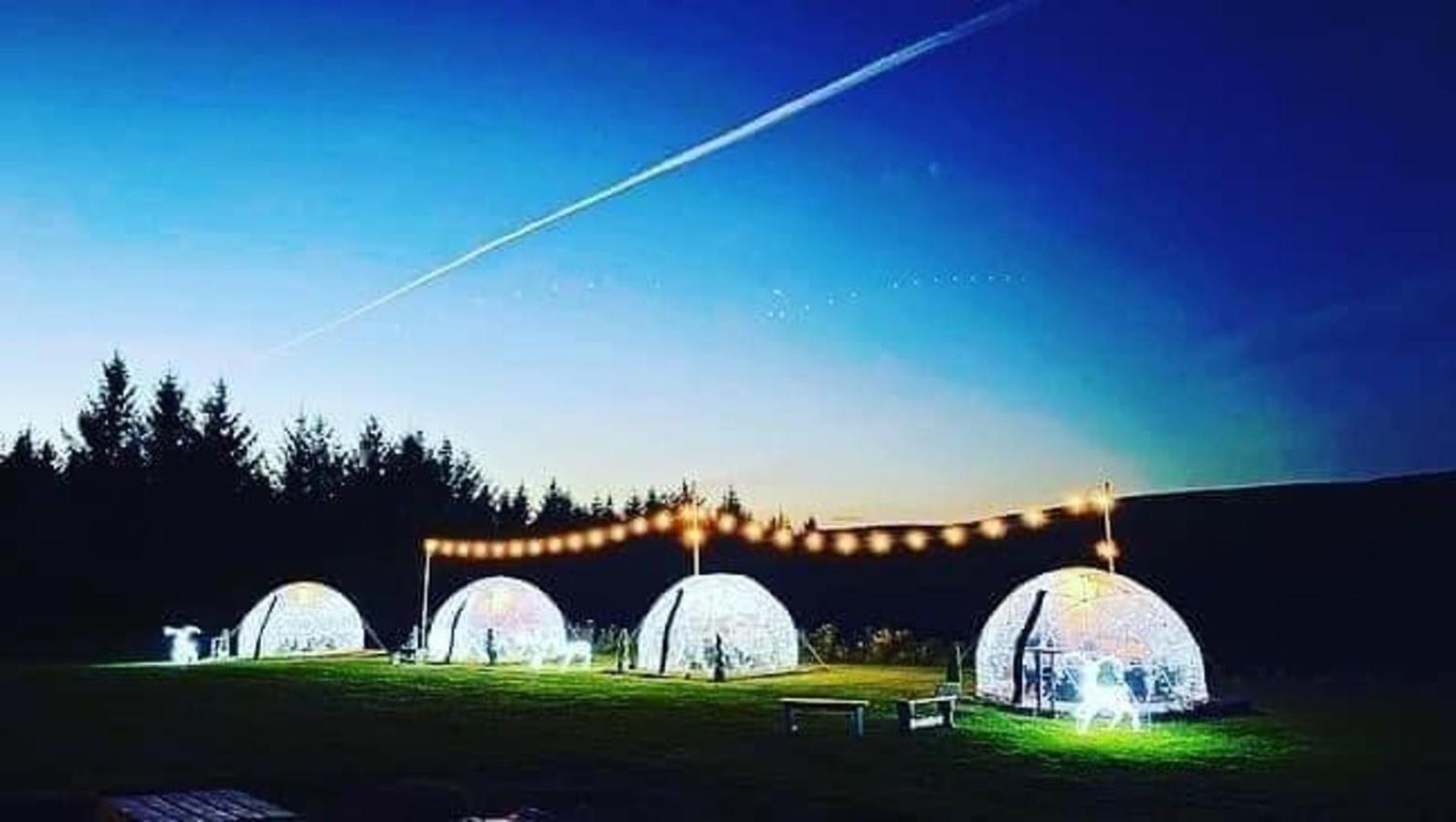Afan Forest Retreat Cozy Getaway, Pet Friendly Cymmer Kültér fotó